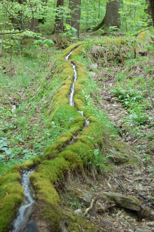 Steinerne Rinne bei Wolfsbronn